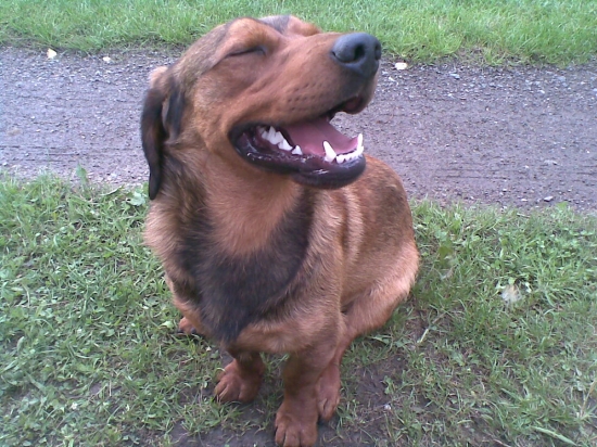 Po fajnovej mäsitej veceri s duplou :-)