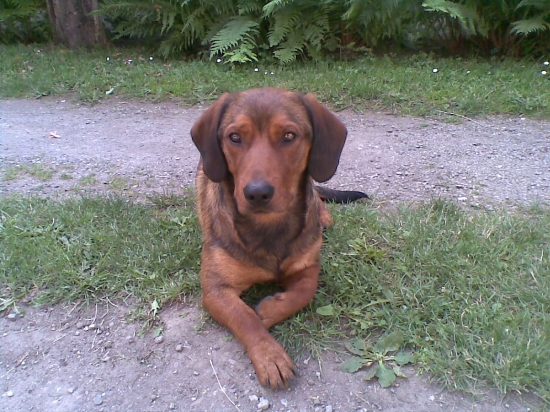 pohodička na dvore...