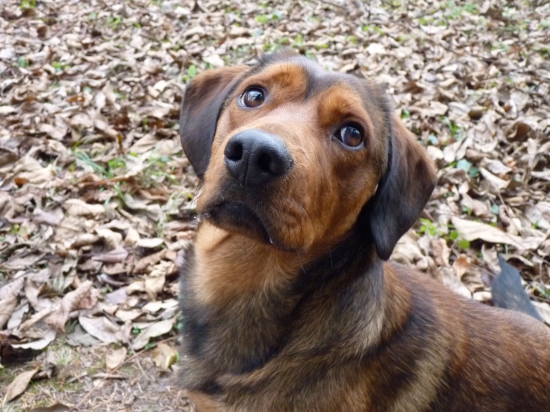 To fakt tu musím sedieť ???