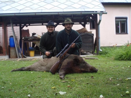 kamaratov lanštiak strelený mojou gulovnicou