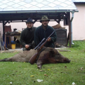 kamaratov lanštiak strelený mojou gulovnicou
