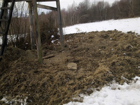 Diviaky nam chceli zburať posed