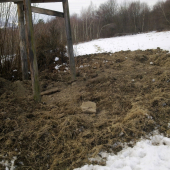 Diviaky nam chceli zburať posed