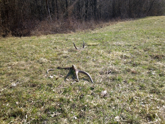 Konečne prelomena tohto ročna smola