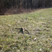 Konečne prelomena tohto ročna smola