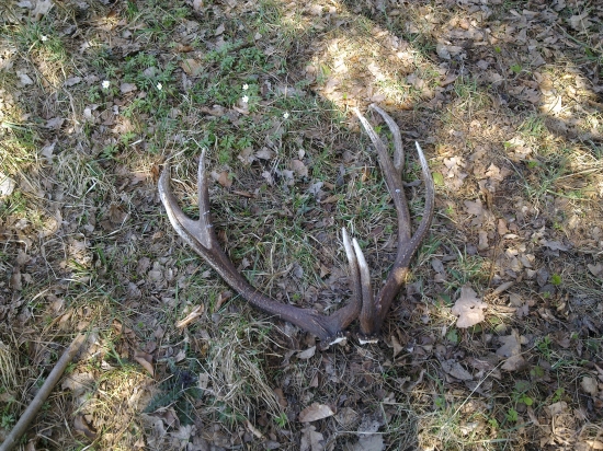 Konečne prelomena tohto ročna smola 2