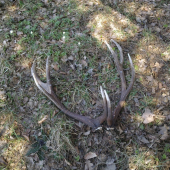 Konečne prelomena tohto ročna smola 2