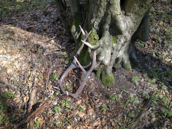 Druhý vedľa studničky