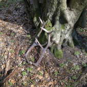 Druhý vedľa studničky