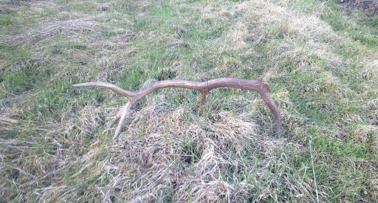 A další do partije,,.