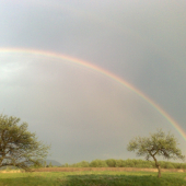 Prijemne režitie Vekonočnych Sviatkov,,