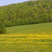 Tak pekne je u nas 2