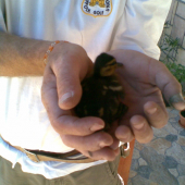 Také maličké a už si toho toľko prežilo...