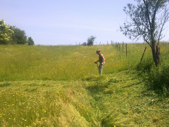 Kolega u mna na brigade