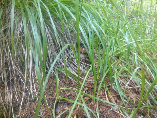 ,,,,KTO MA NAJDE,,,,,JE 1..