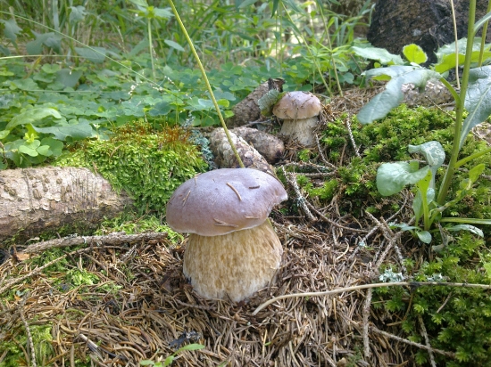 Konečne som si našiel trochu volna....2