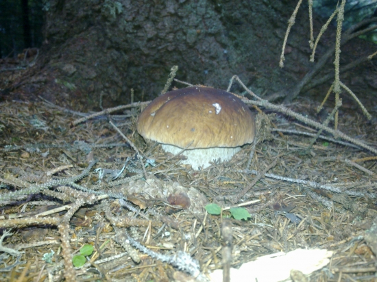 Nechaj ma mne je tu dobré,,,,,,