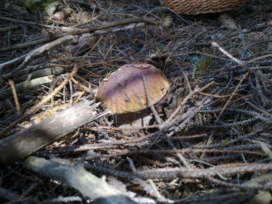 ,,,Ej ako mi je teplučko,,,