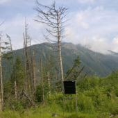 Kôprova Dlina-dopadne tiež takto,,,,,,,,,,,