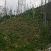 CHodnik lesom na Krivan ,,,ale bez lesa,,,,,