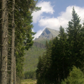 čo to tu trči spoza roha??????