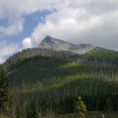 A tu už  je v plnej kráse,,,,,,,,