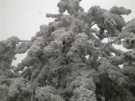 Dnes na spoločnej,,,,,,