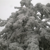 Dnes na spoločnej,,,,,,