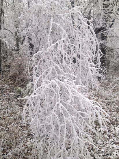 Dnes na spoločnej,,,,,,2