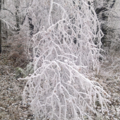 Dnes na spoločnej,,,,,,2