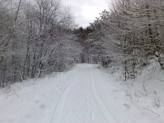 Cestov ku krmelcu,,,,,,