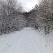 Cestov ku krmelcu,,,,,,