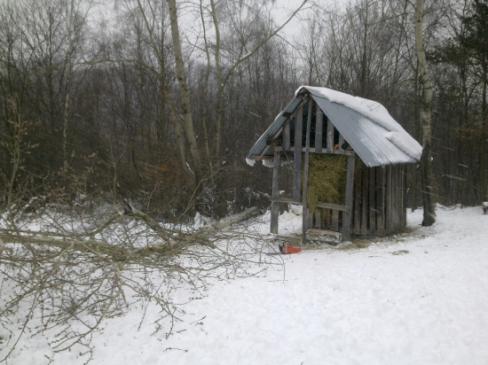 Ateraz niečo pod zub,,,,,,,,