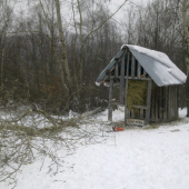 Ateraz niečo pod zub,,,,,,,,