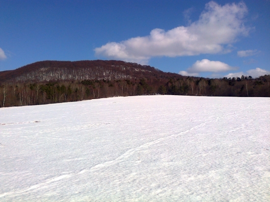 ,,,,Nie a nie aby jar zaklopala na dvere,,,,,,,,,