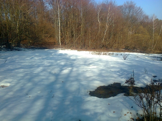 ,,,Posledný sneh u nás,,,,