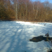 ,,,Posledný sneh u nás,,,,