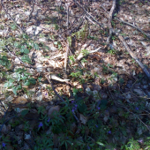 ,,Včerajší starý číslo,,,,1,,,,,