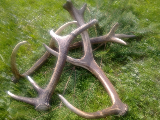 ,,,,Moje a otcove lučnaky,,,,,,,