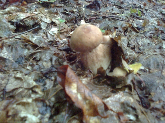 Zahajenie sezony,,,, 2012,,,,,,,,