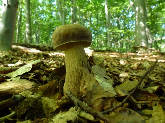 Zahajenie sezony,,,, 2012,,,,,,,,