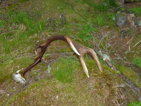 ,,,,Rok počkal,,,,,,