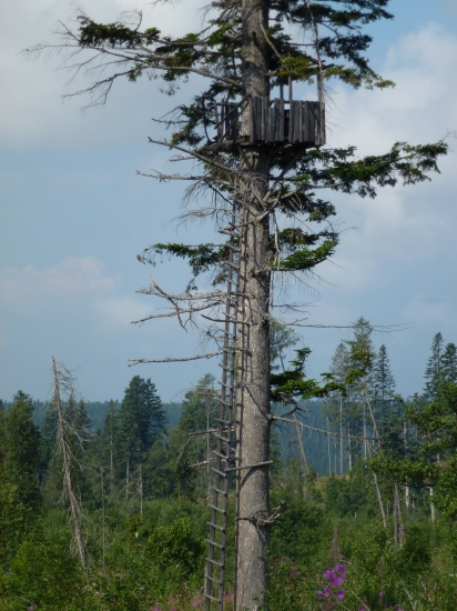 ,,,, Trufol by si niekto,,,,,,