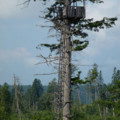 ,,,, Trufol by si niekto,,,,,,