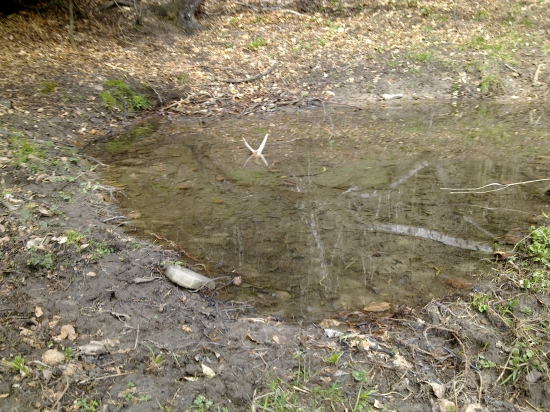 ,,,To bol pohľad,,,