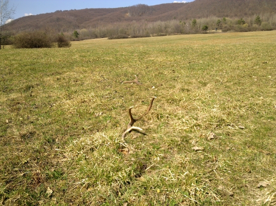 ,,,To bol pohľad,,,2..