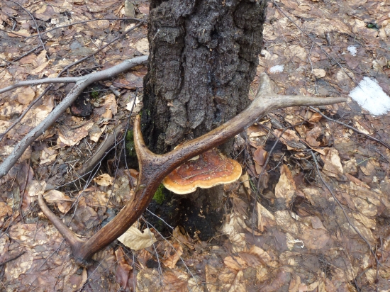 ,,,,,,Po vytiahnutí,,,,