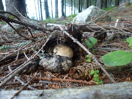 ,,,,,A sezóna záčina,,,,