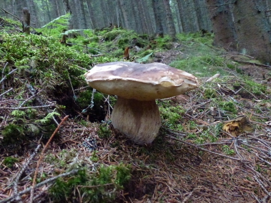 ,,,,,A sezóna záčina,,,,