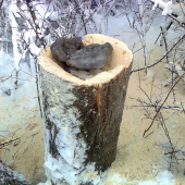 Trochu chladu v letný deň,,,